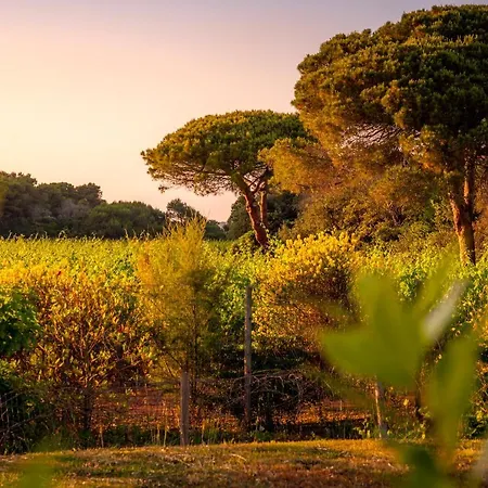 Masseria Mongio Dell'elefante 4* Otranto