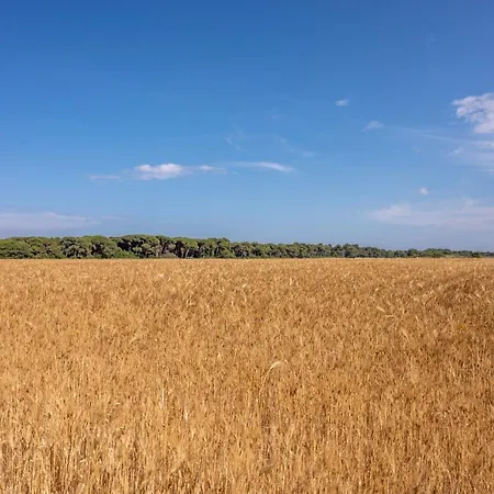 Hotel Masseria Mongio Dell'elefante