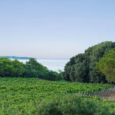 Hotel Masseria Mongio Dell'elefante