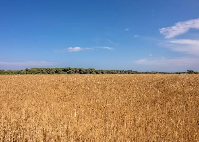 Hotel Masseria Mongio Dell'elefante