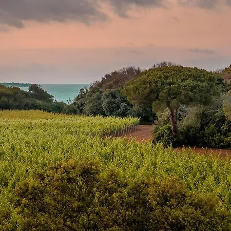 ホテル Masseria Mongio Dell'elefante 4*