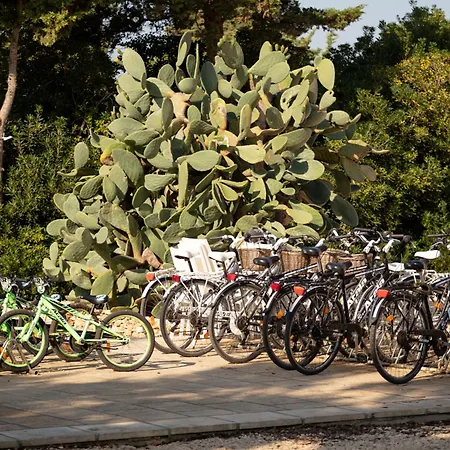 ホテル Masseria Mongio Dell'elefante