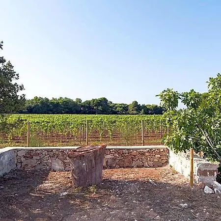 Masseria Mongio Dell'elefante