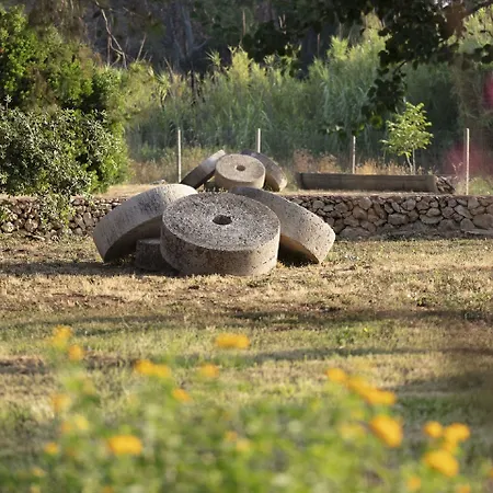 Masseria Mongio Dell'elefante 4*
