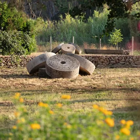ホテル Masseria Mongio Dell'elefante