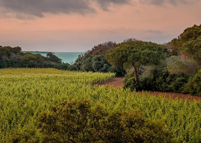 Отель Masseria Mongio Dell'elefante 4*