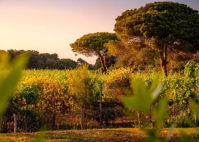 Masseria Mongio Dell'elefante 4* Отранто