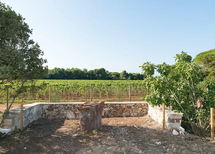 Masseria Mongio Dell'elefante 4*