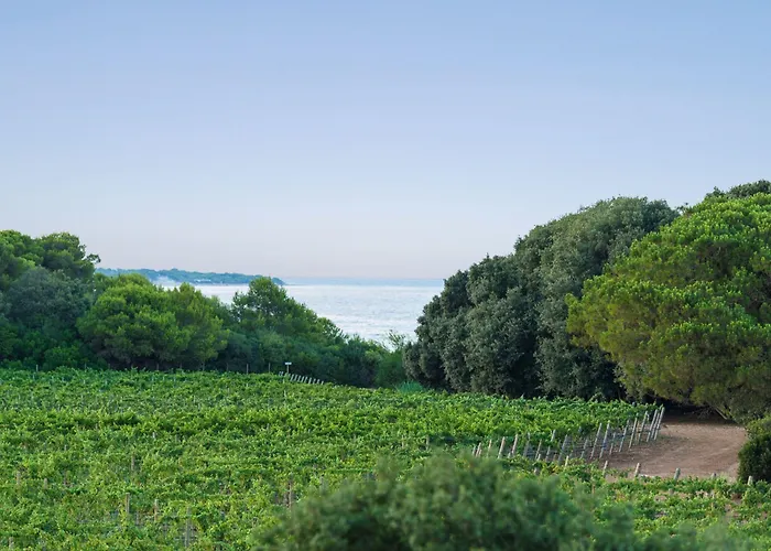 Отель Masseria Mongio Dell'elefante