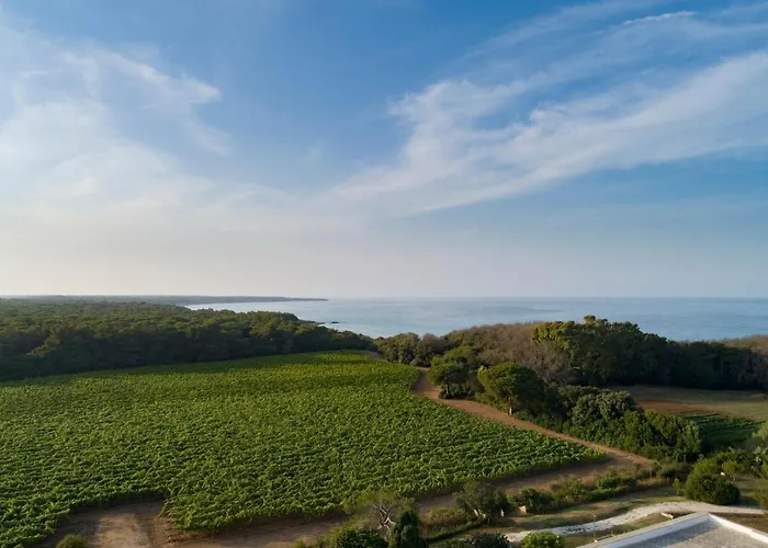 Отель Masseria Mongio Dell'elefante