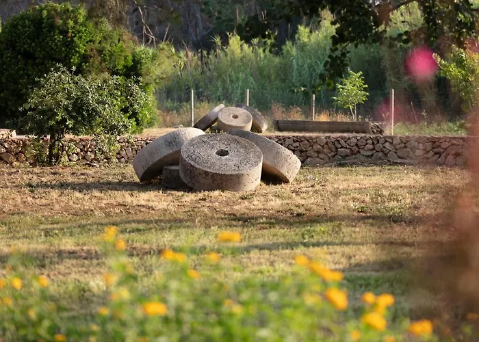 Отель Masseria Mongio Dell'elefante
